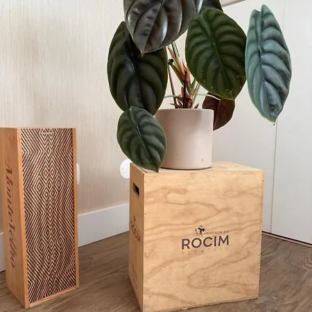 Fantastico T3 A 50 Metros Da אריסרייה