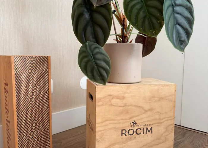 Fantastico T3 A 50 Metros Da 埃里塞拉